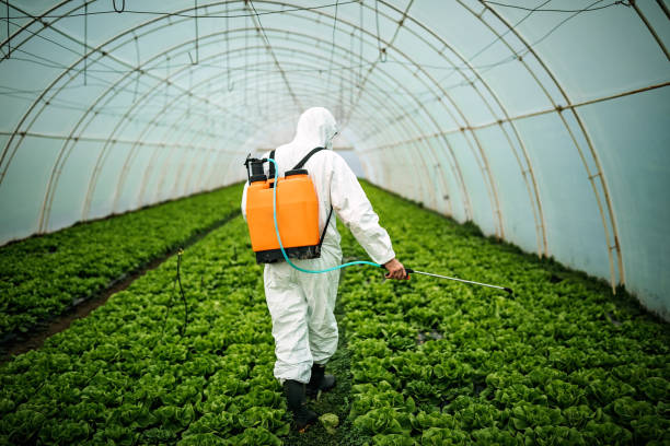 Best Pest Control for Homes  in Grapevine, TX