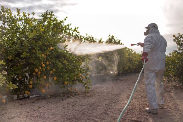 Best Commercial Pest Control Services  in Grapevine, TX