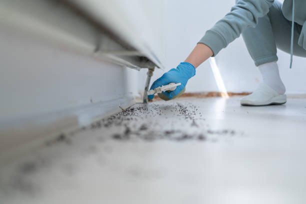 Pest Control Cost in Grapevine, TX