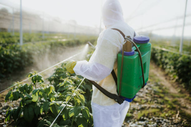 Best Flea Control Services  in Grapevine, TX